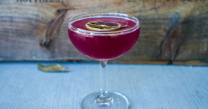 Gin Cocktail: Pomegranate Martini