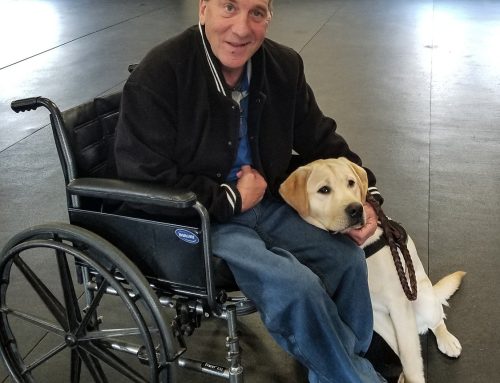 The Service Dog Institute: Custom-Trained Companions for a Better Quality of Life