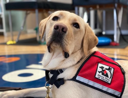 Service Dogs of Virginia: Changing Lives, One Partnership at a Time